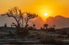 Middle East-Arabian Peninsula-Oman-Ad Dakhiliyah-Al Hamra Landscape Print